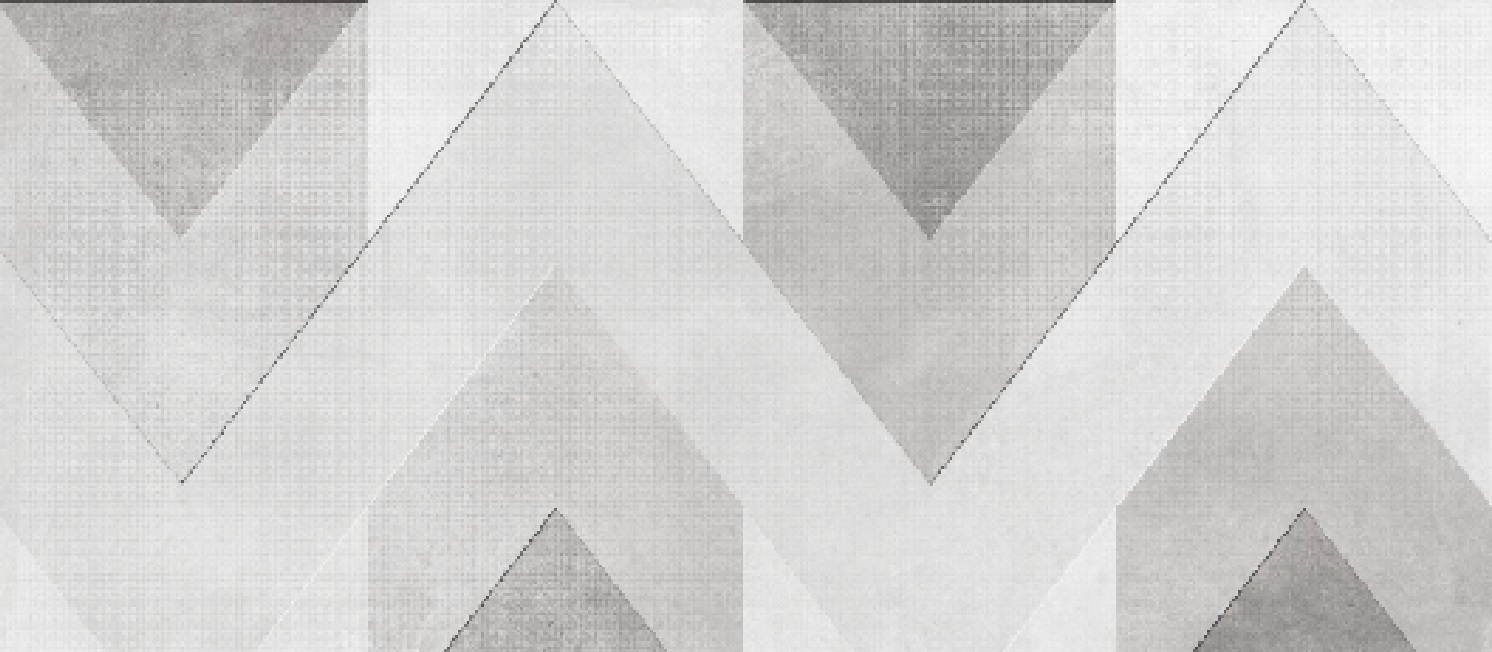 FUSION DECORE MATT 60X120 1RA MED: 1,44 - Imagen 2